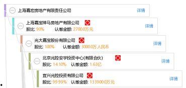 嘉宏房地产爆料视频,项目真相与行业乱象